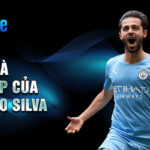 Tiểu sử và sự nghiệp của bernardo silva